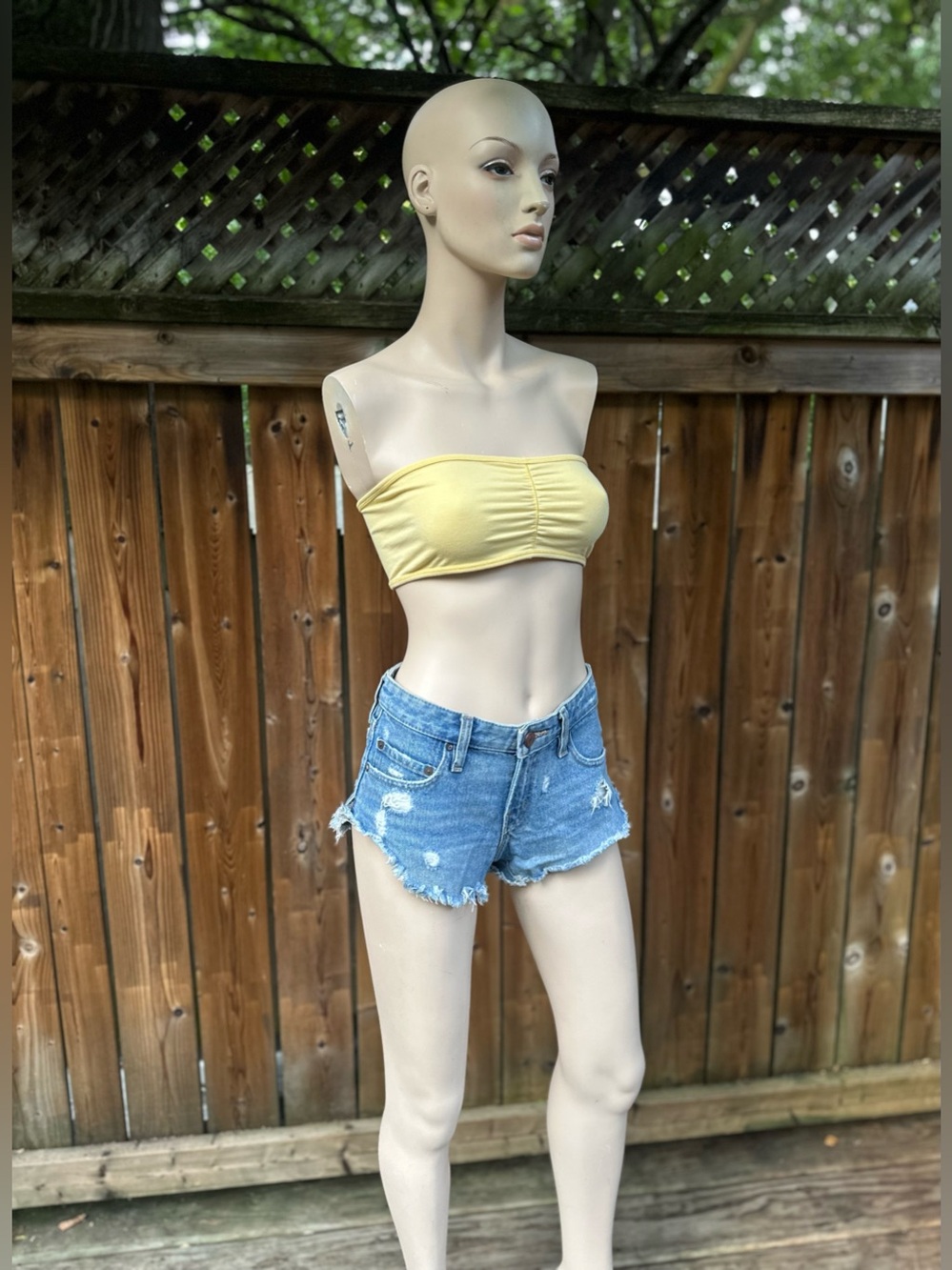 BDG Dolphin 🐬 Low Rise Short Shorts
